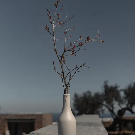 Stamna Sifnos *